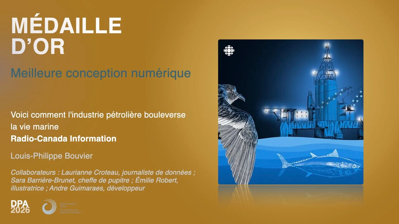 Médaille d'or — Digital Publishing Awards 2026