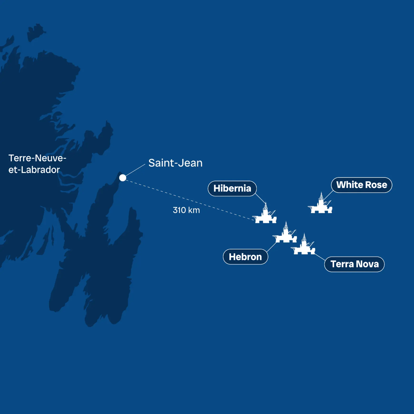 Pétrole : impact marin